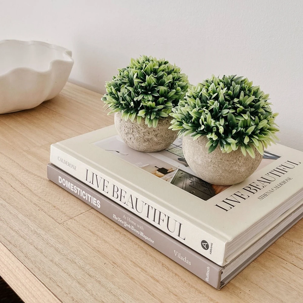 Foliage Ball Plant in Grey Pot