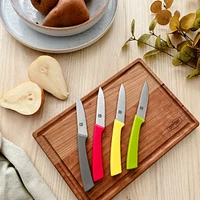 Set of 4 Ricardo Paring Knives