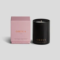 Ortus Candle - Light Pink