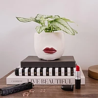 Red Lips Planter