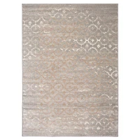 Tapis Nelson gris 5'3" x 7'3