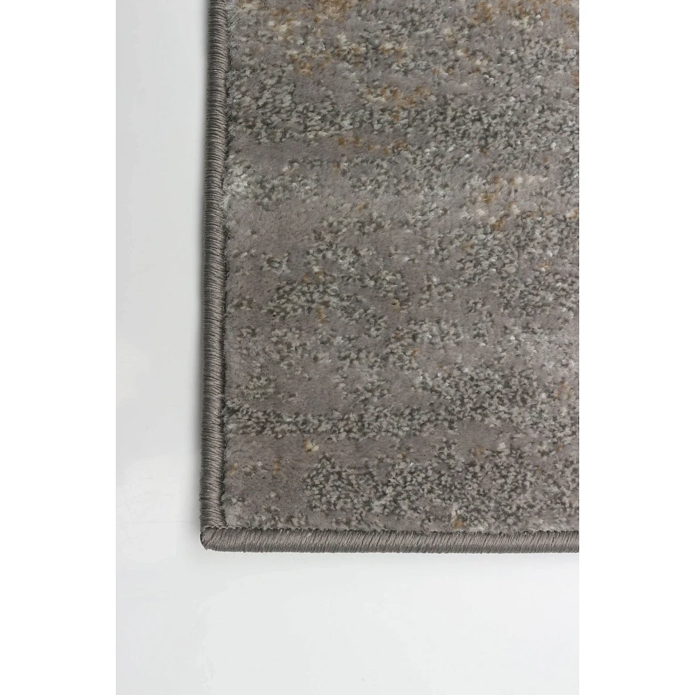 Tapis Nelson gris 5'3" x 7'3