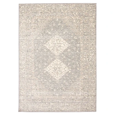 Tapis Persian Style gris 5'3" x 7'3