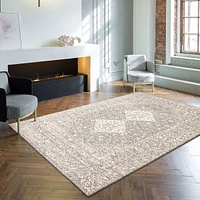 Tapis Persian Style gris 5'3" x 7'3