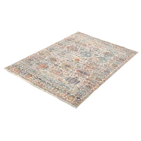 Serenity Multi Color Rug