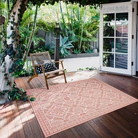 Gardenia Traditional Indoor/ Outdoor Coral Rug