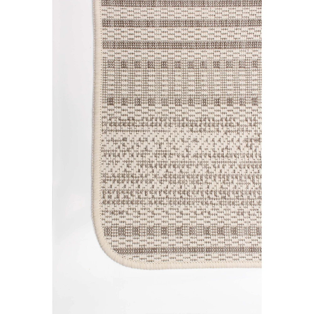 Aten Indoor/ Outdoor Rug