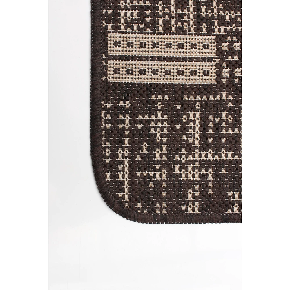 Ra Indoor/ Outdoor Chocolate Rug