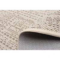 Ra Indoor/ Outdoor Ivory Rug