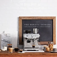 Breville Barista Express™  Espresso & Cappuccino Machine - Silver