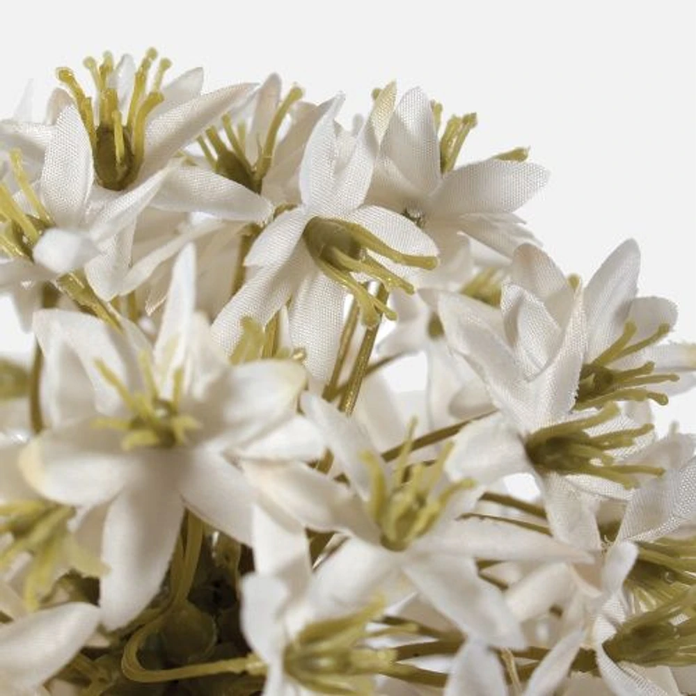 Ivory Allium Flower Spray