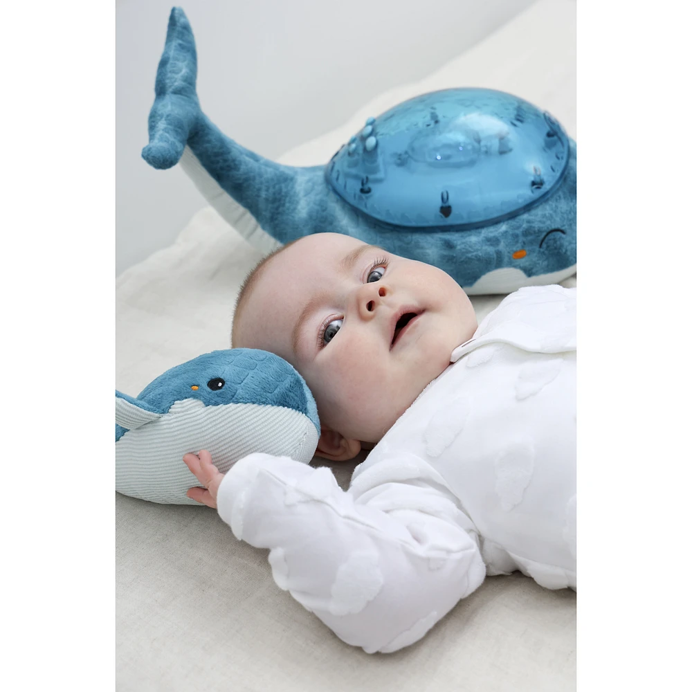 Tranquil Whale® Night Light