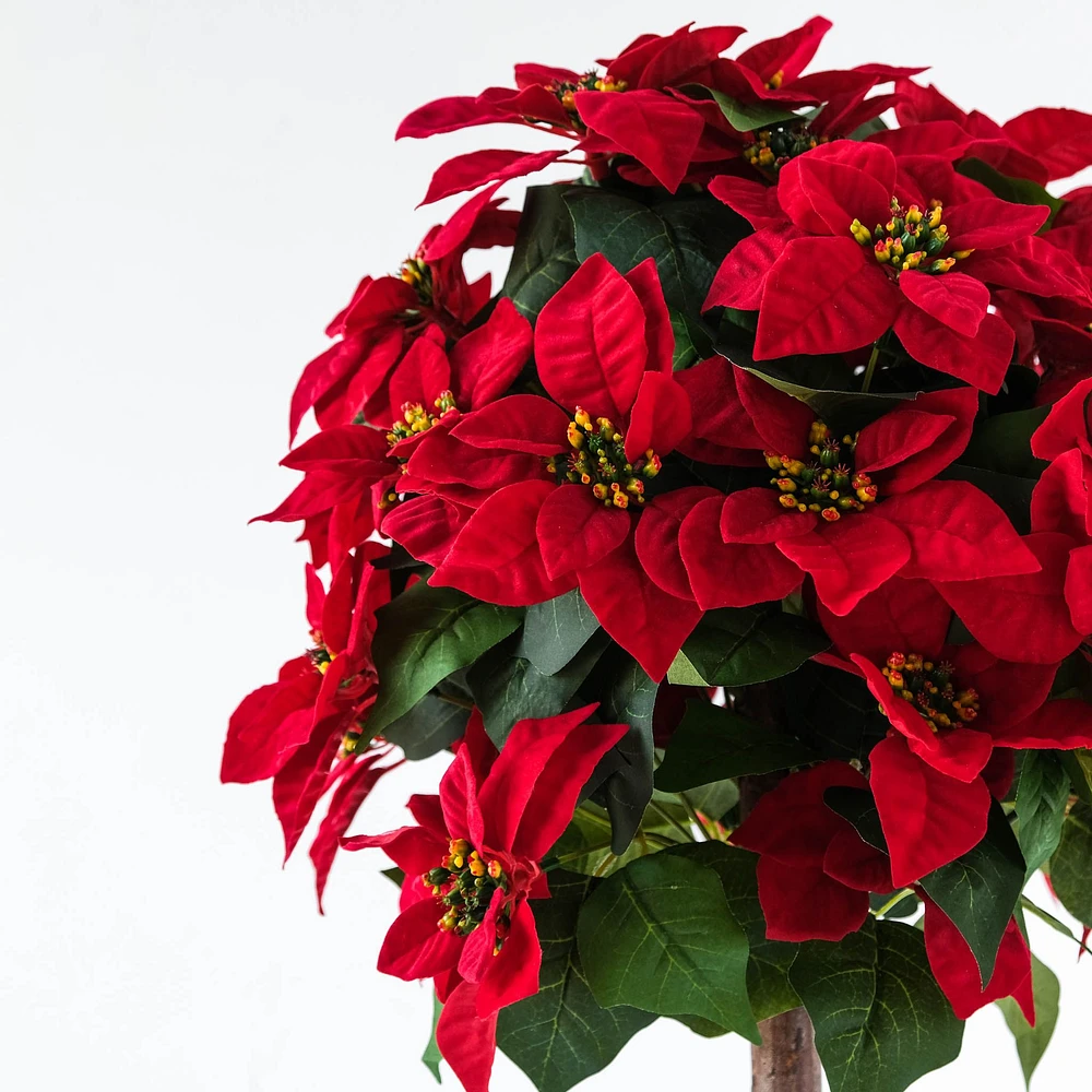 Poinsettia Tree 120cm by Haute Deco