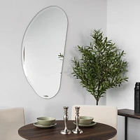 Organic Frameless Mirror by Haute Deco - 25 X 44" - Clear