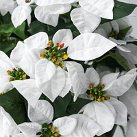 White Poinsettia Tree 59" by Haute Deco