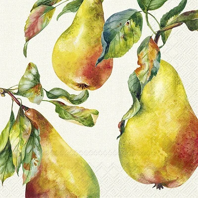 Carsim Home Grown Pears Serviettes de table, paquet de 20 