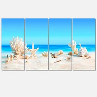 Seashells on Tropical  Canvas Wall Art