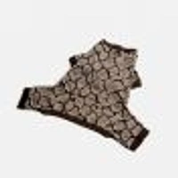 Dog's Pack of 2 Pyjamas by SilverPaw - Polka Dots and Snakeskin Prints