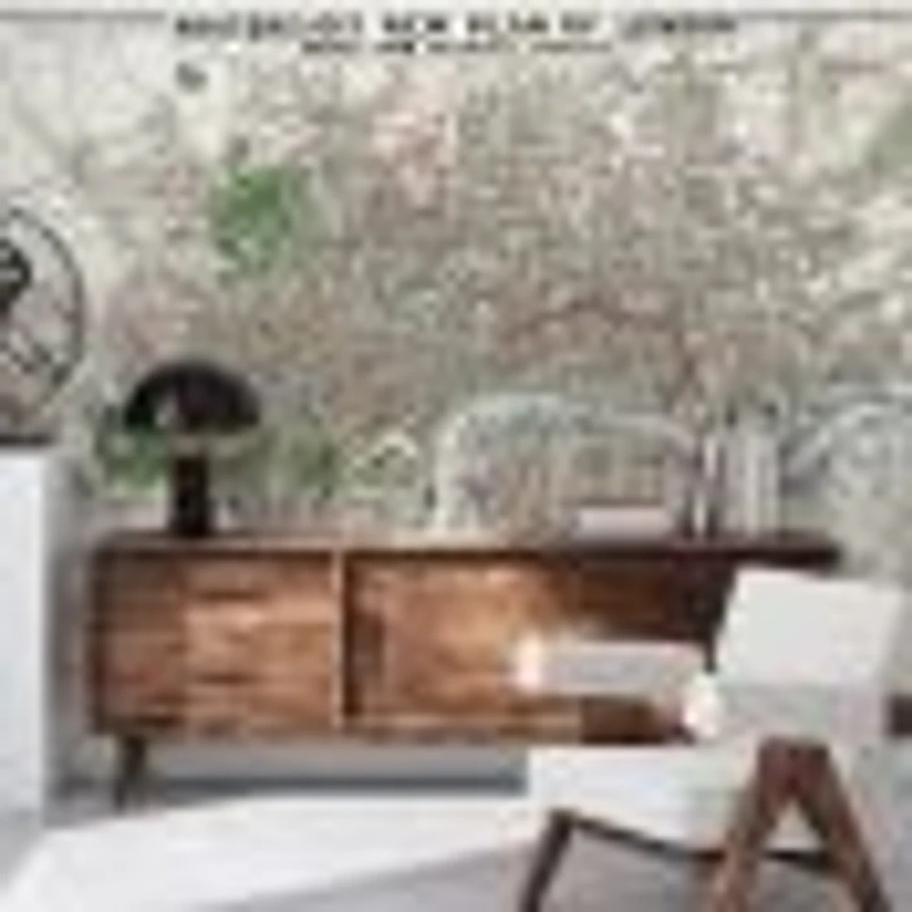 1853 London Map Wallpaper Mural