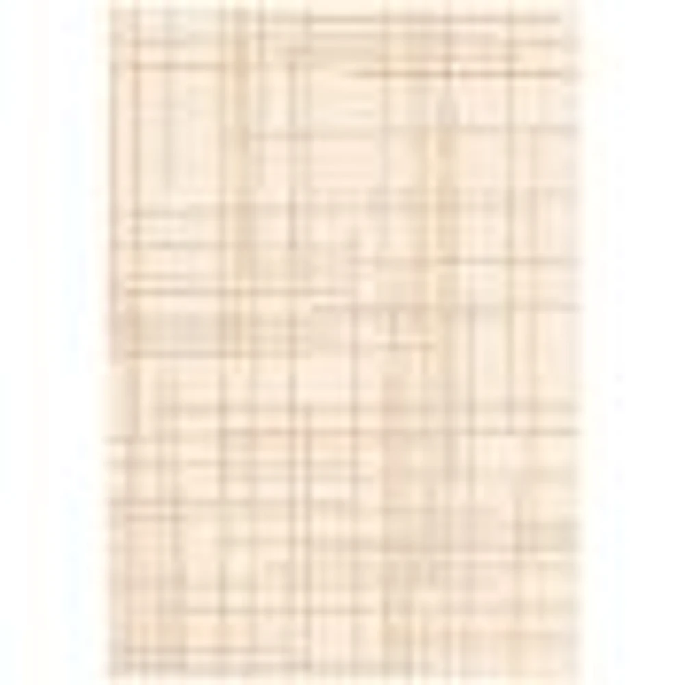 Rattan Look Burburry Champagne-Taupe Rug