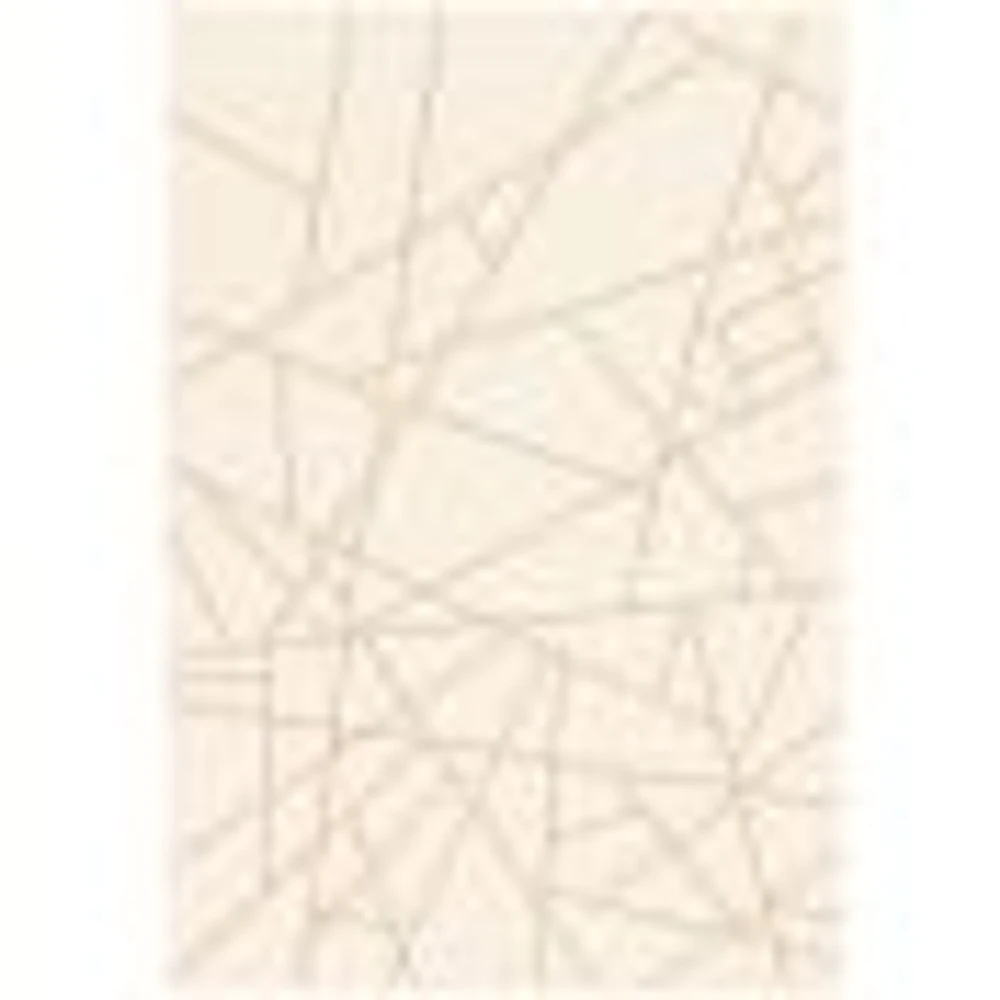 Rattan Look Abstract Champagne-Taupe Rug