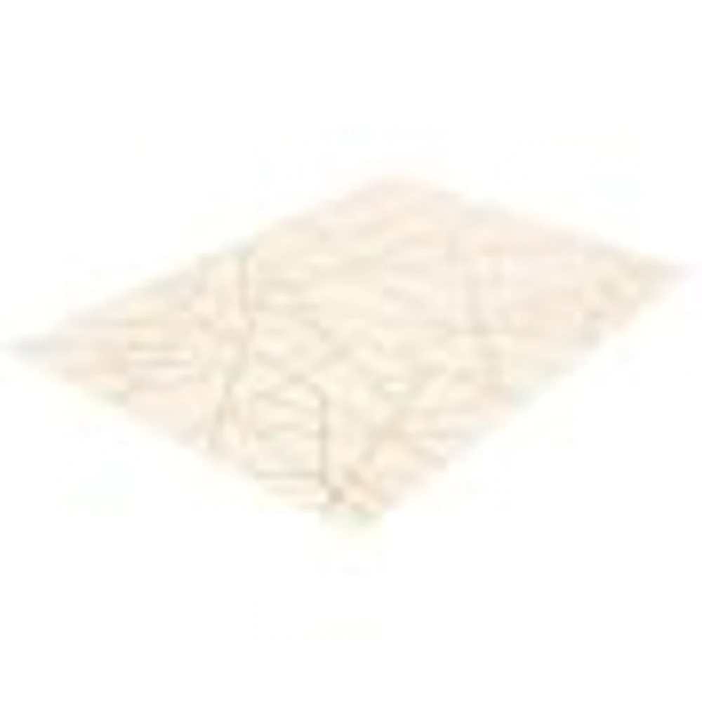 Rattan Look Abstract Champagne-Taupe Rug