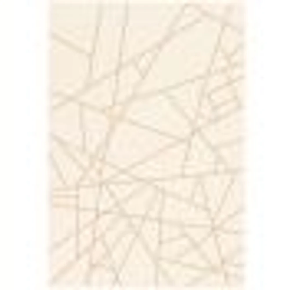 Rattan Look Abstract Champagne-Taupe Rug