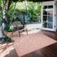 Gardenia Traditional Indoor/ Outdoor Coral Rug