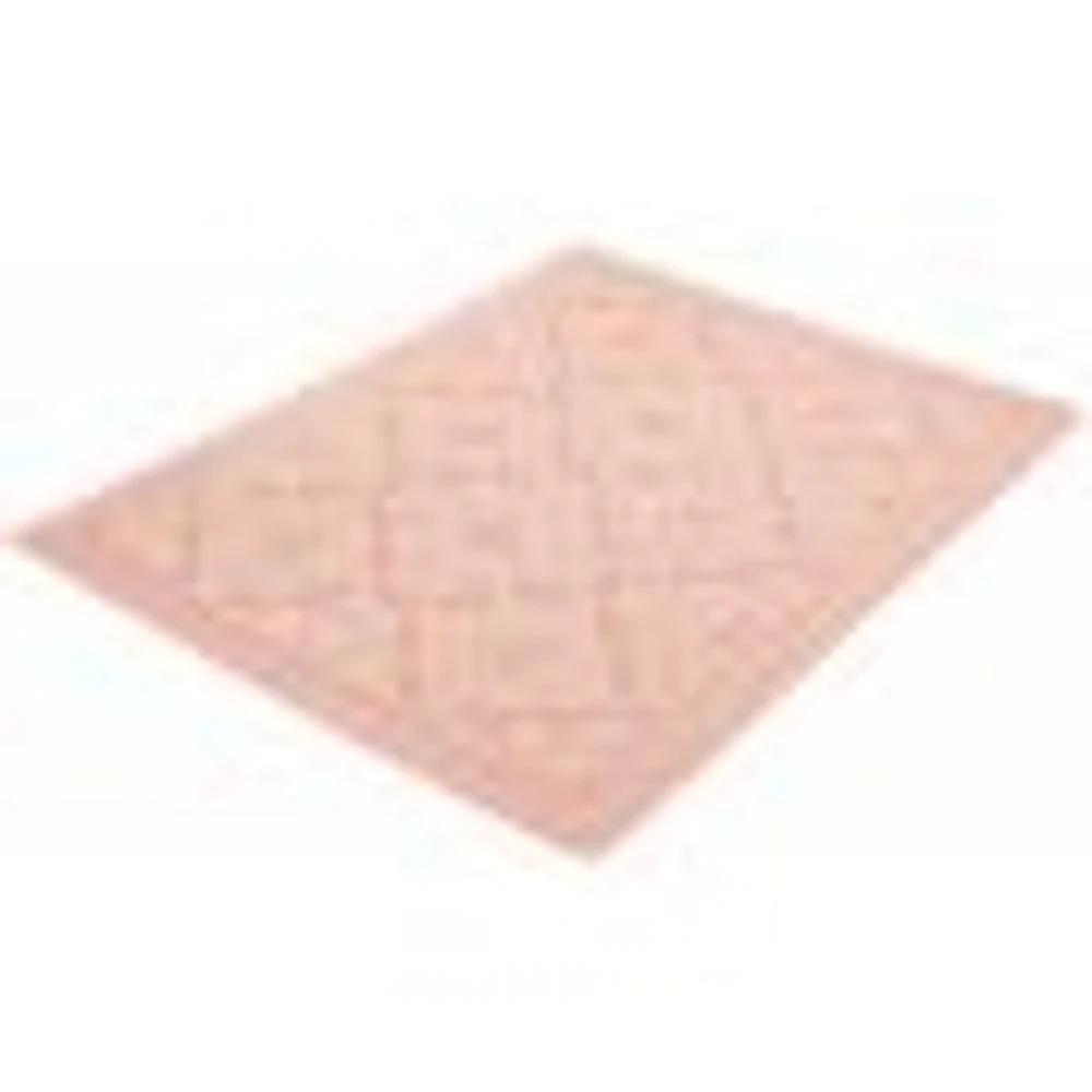 Gardenia Traditional Indoor/ Outdoor Coral Rug