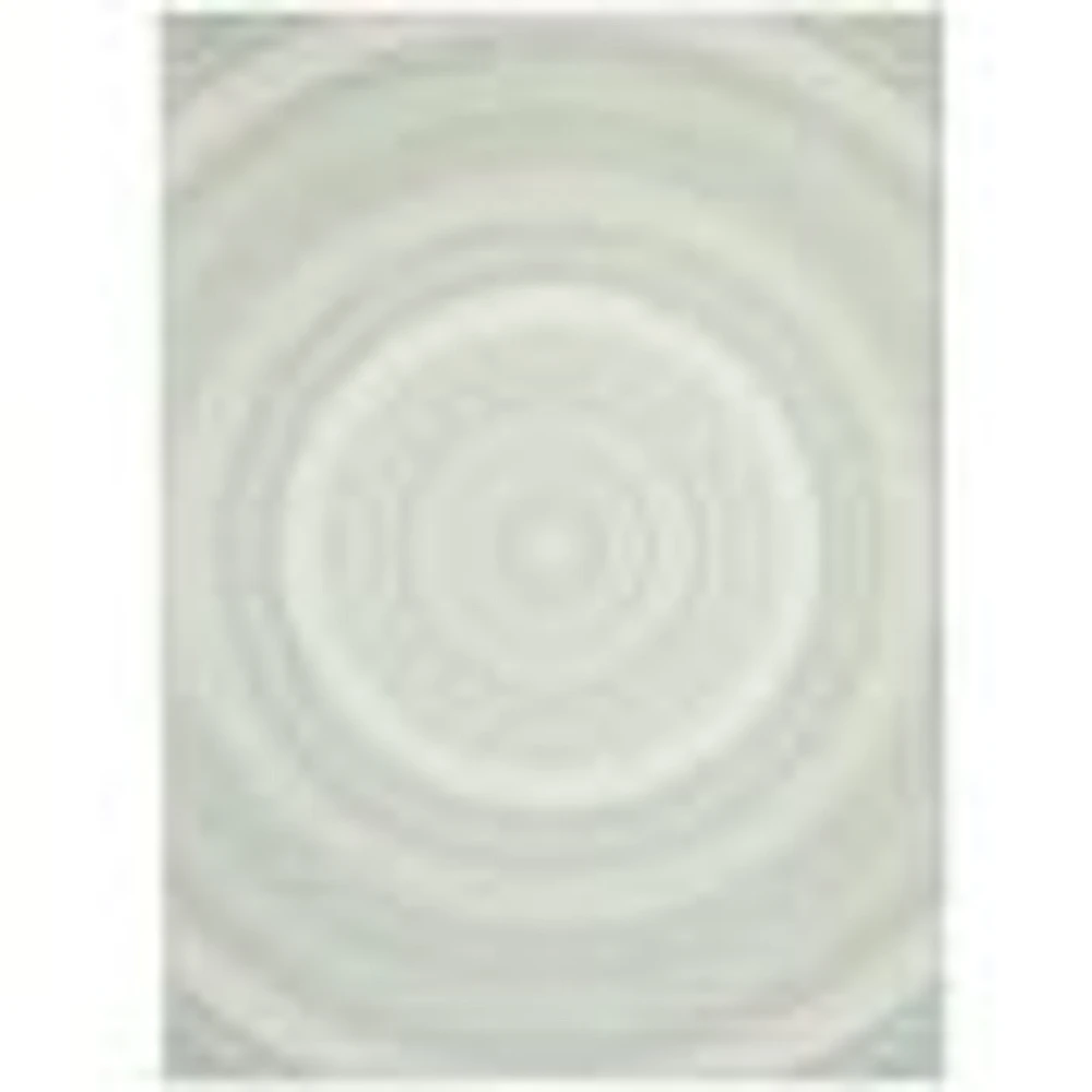 Gardenia Modern Indoor/ Outdoor Mint Rug