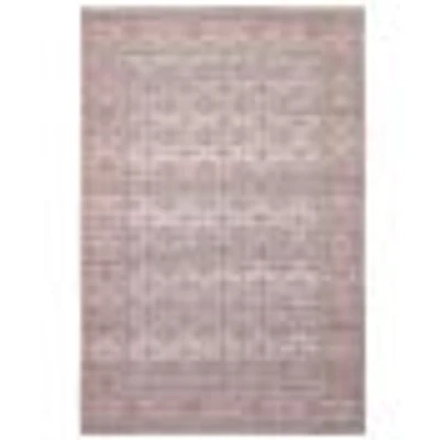 Turkoman Traditional Area Rug