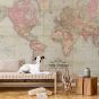 Colton's Vintage World Map Wallpaper Mural