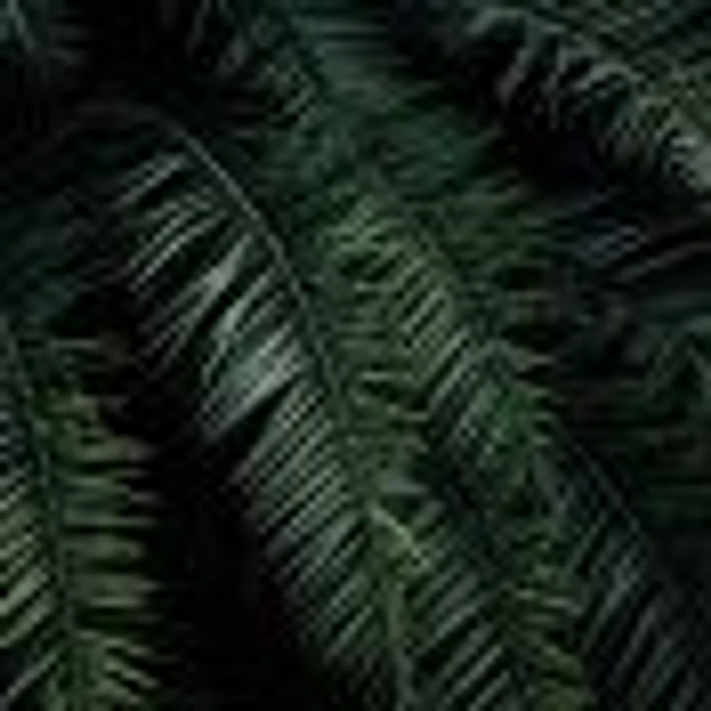 Dark Palm Trees Wallpaper Mural