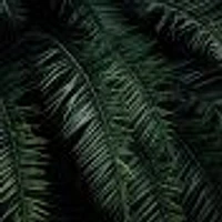 Dark Palm Trees Wallpaper Mural