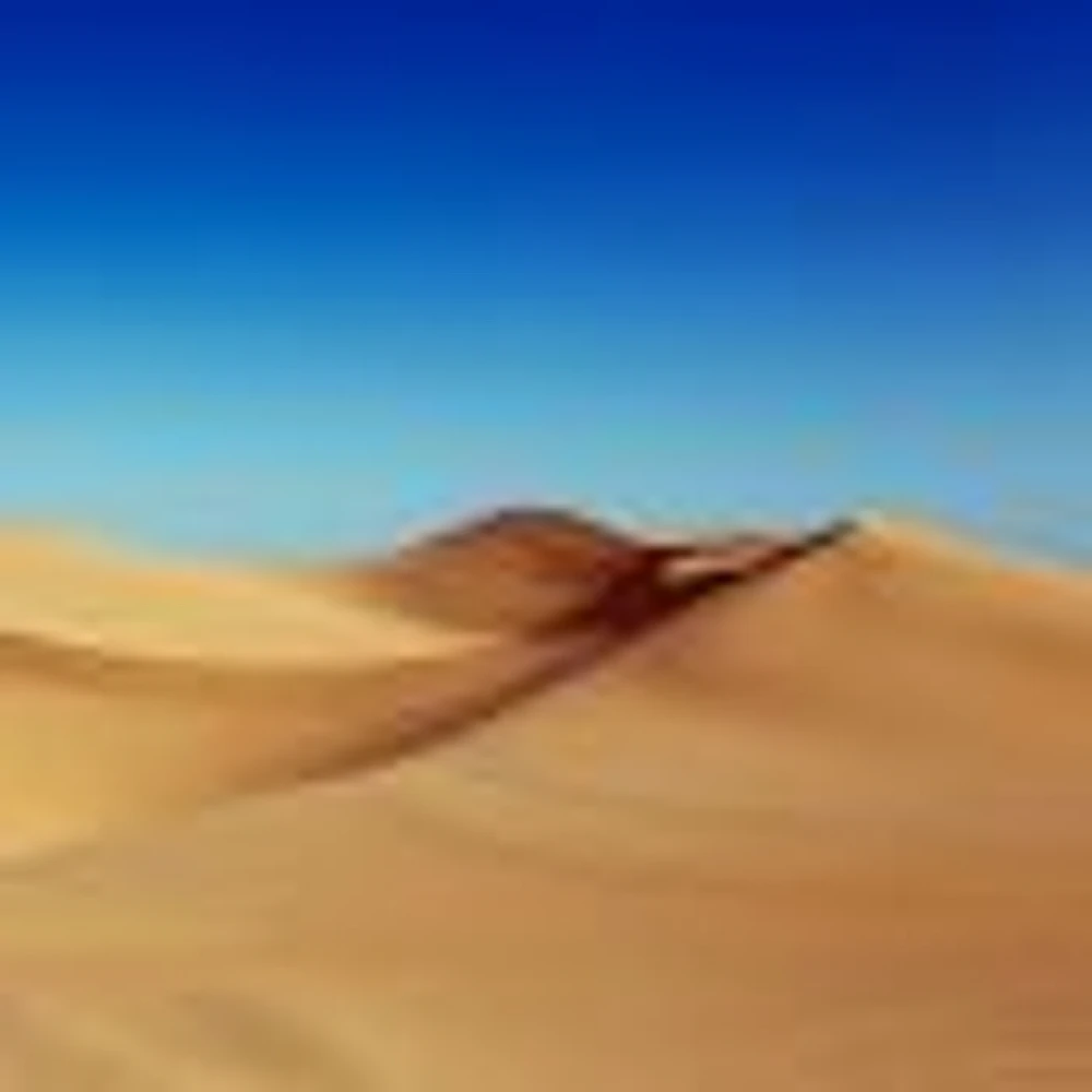 Desert Under Blue Sky Wallpaper Mural