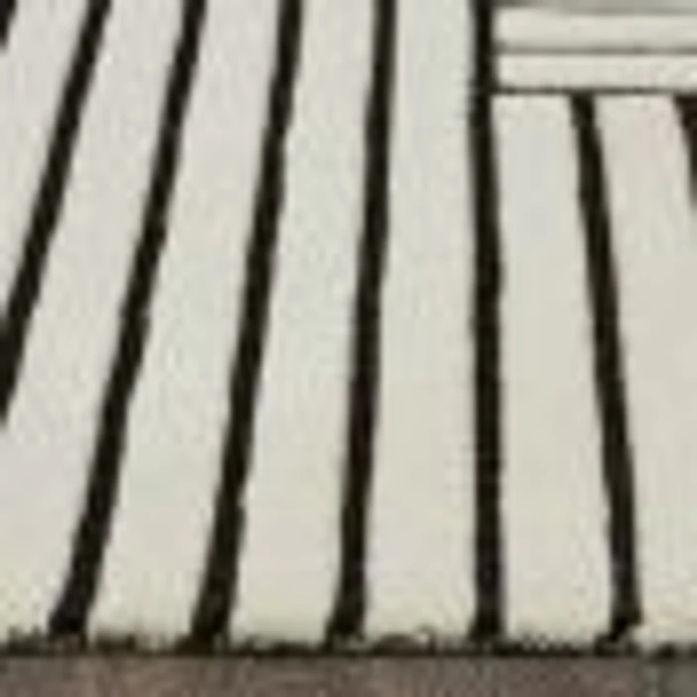 Arctica Off-White and Black Indoor Rug