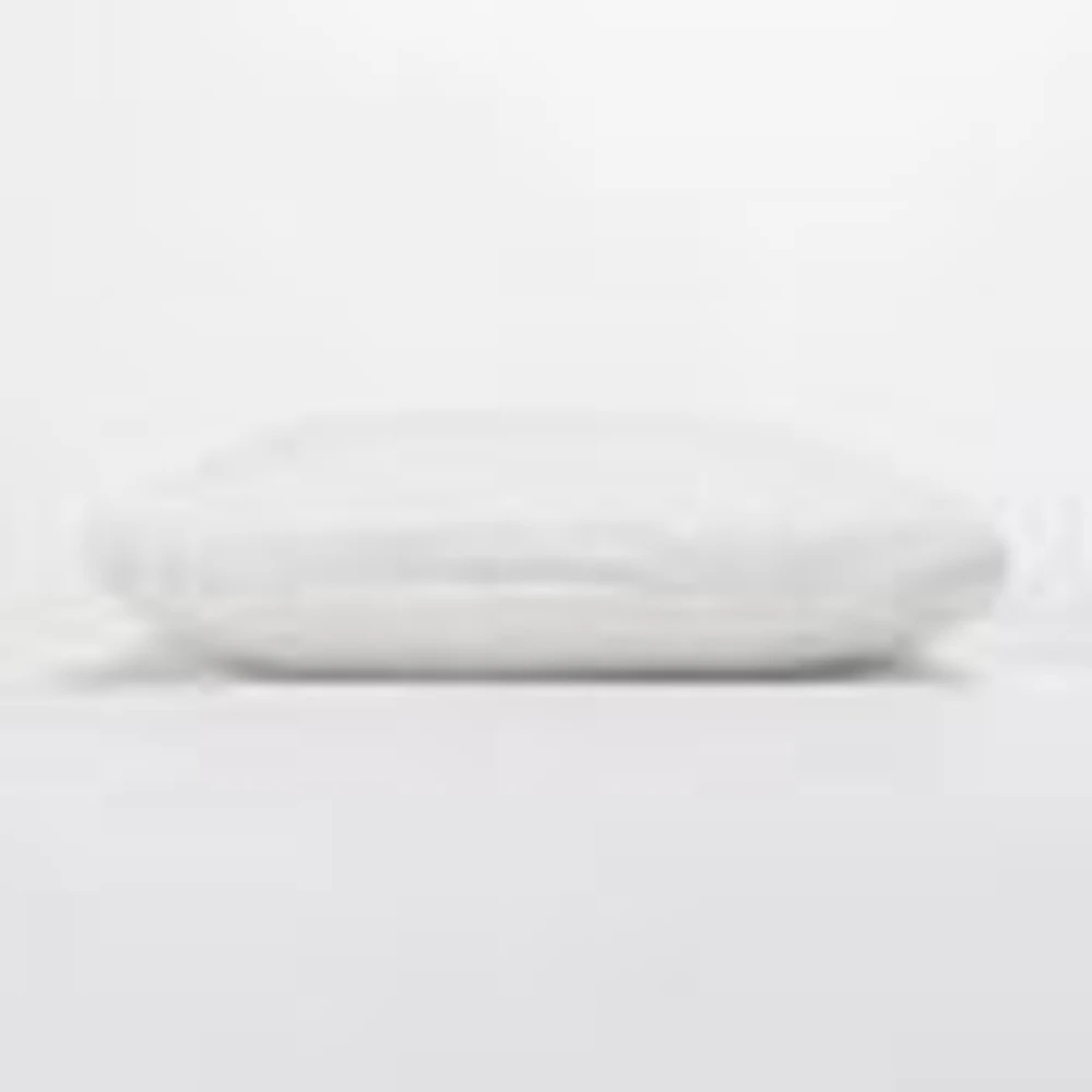 Empire Silk Blended Pillow