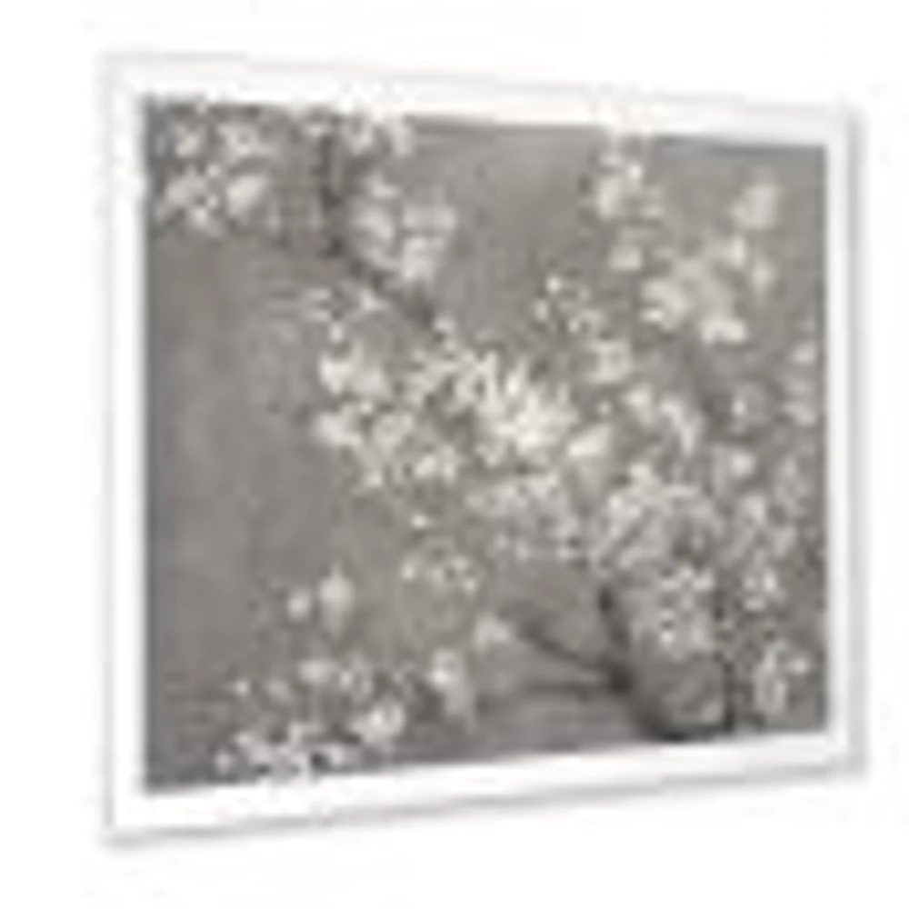 White Cherry Blossoms II  Canvas Wall Art Print