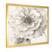 Indigold Grey Peonies I  Canvas Wall Art