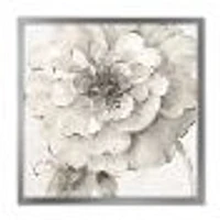 Indigold Grey Peonies I  Canvas Wall Art