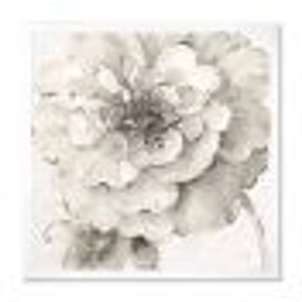 Indigold Grey Peonies I  Canvas Wall Art