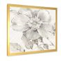 Indigold Grey Peonies II  Wall Art