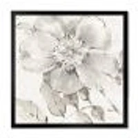 Indigold Grey Peonies II  Wall Art