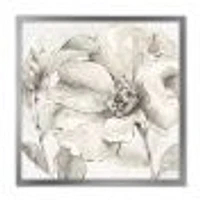 Indigold Grey Peonies IV  Canvas Art