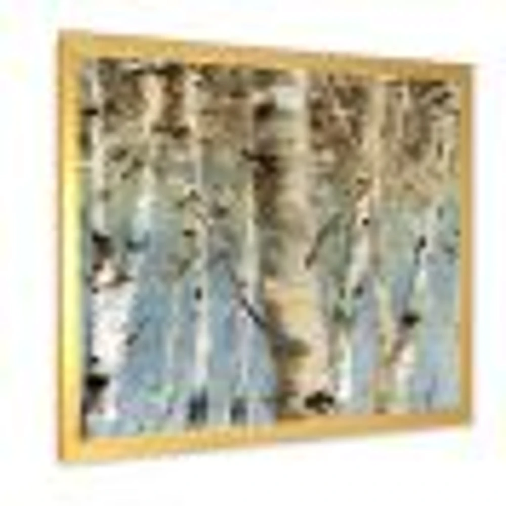 White Birch Forest II  Canvas Wall Art