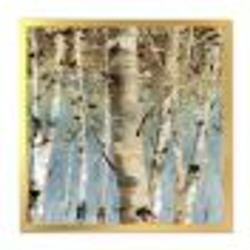 White Birch Forest II  Canvas Wall Art