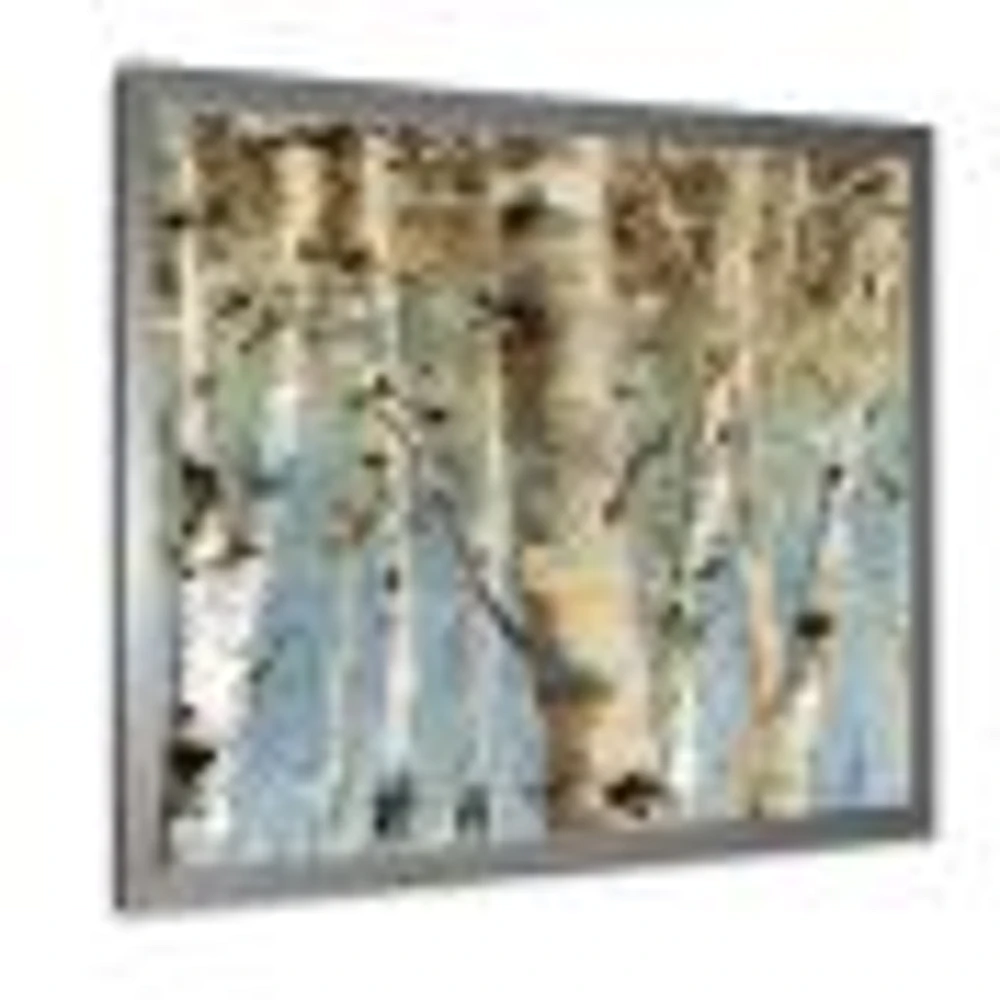 White Birch Forest II  Canvas Wall Art