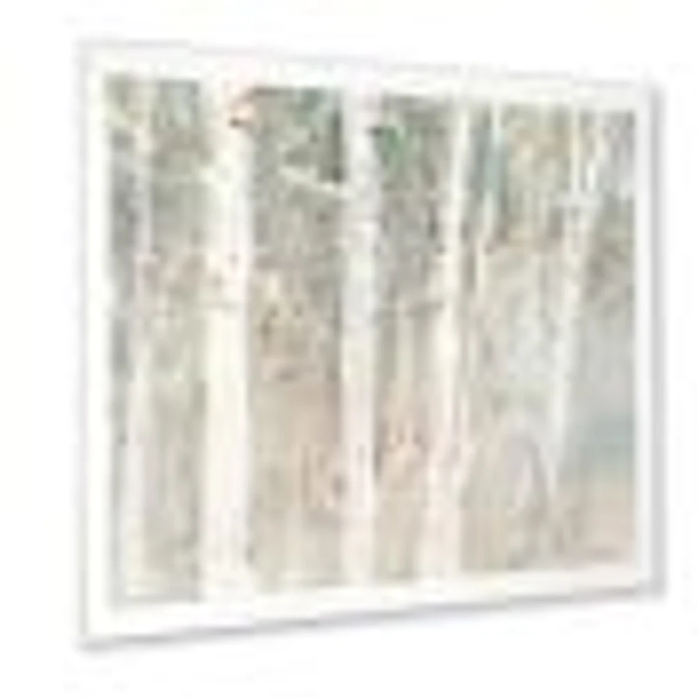 A Woodland Walk into the Forest V  Wall Art