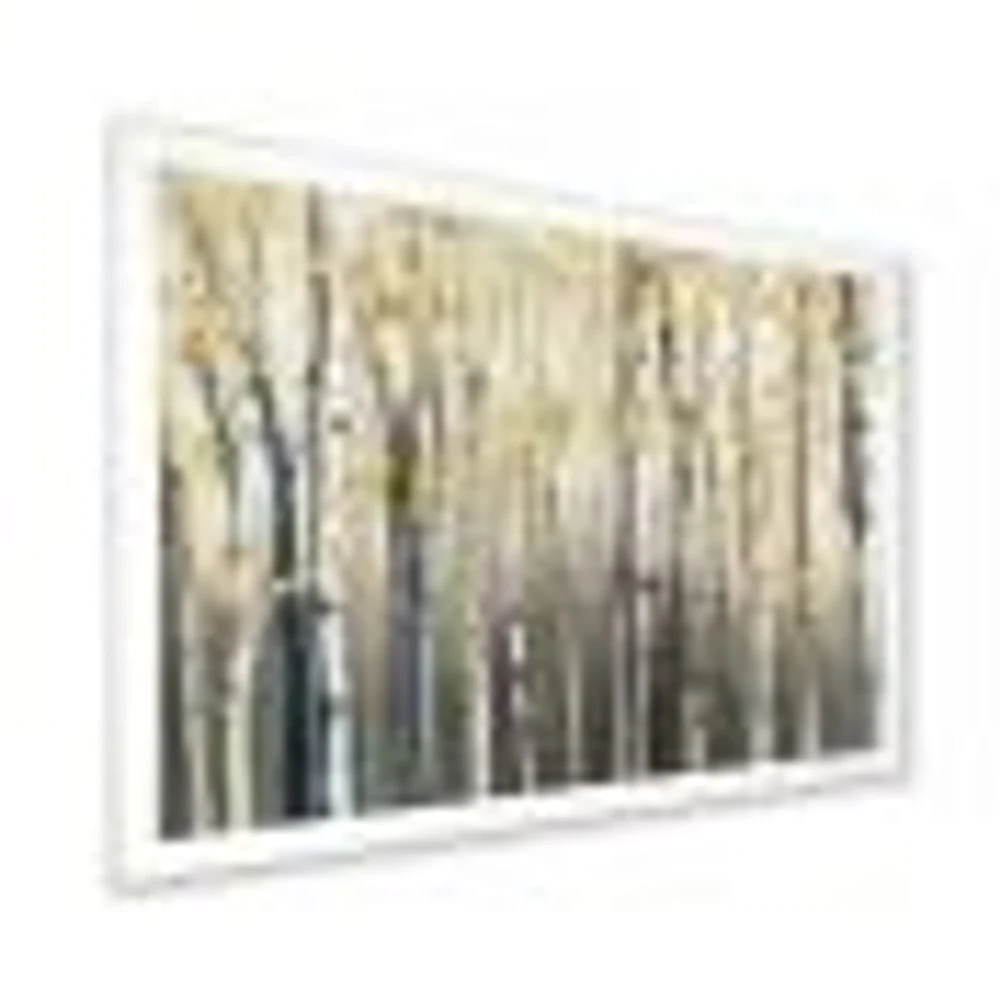 Golden Birch Forest I  Canvas Wall Art