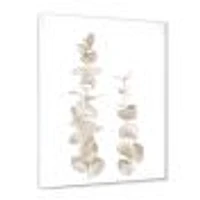 Beige Eucalyptus Branches on White  Wall Art